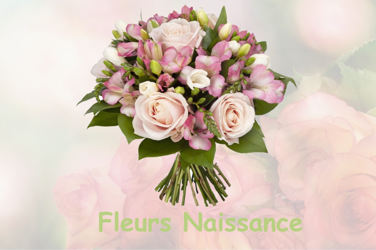 fleurs naissance AUZEVILLE-TOLOSANE