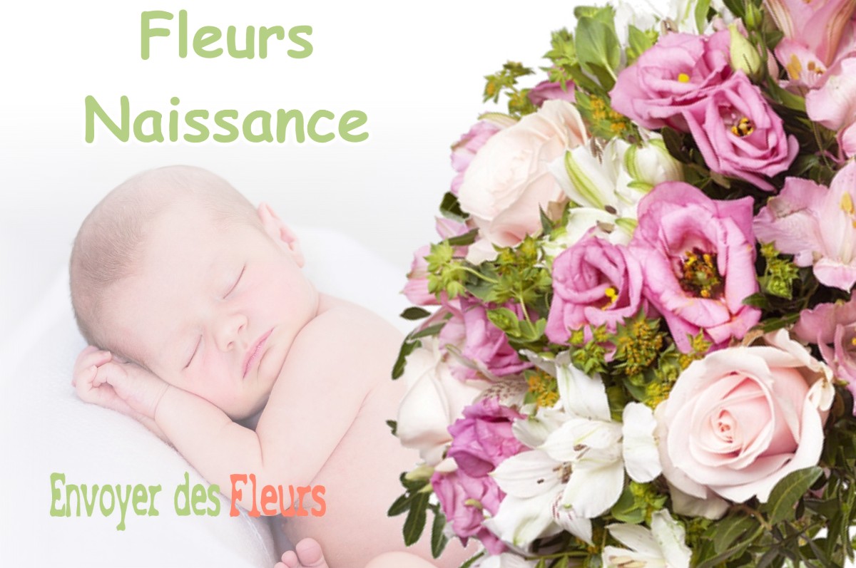 lIVRAISON FLEURS NAISSANCE à AUZEVILLE-TOLOSANE