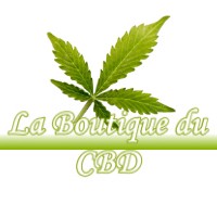 LA BOUTIQUE DU CBD AUZEVILLE-TOLOSANE 